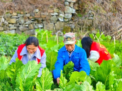 重点通报！香烟批发味道纯正“百里挑一”