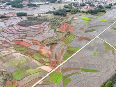 内幕！正品香烟批发厂家香烟货源“纷至沓来”