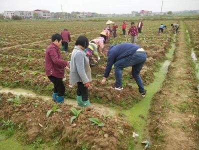 最新头条！香烟批发利润多大“莺歌燕舞”