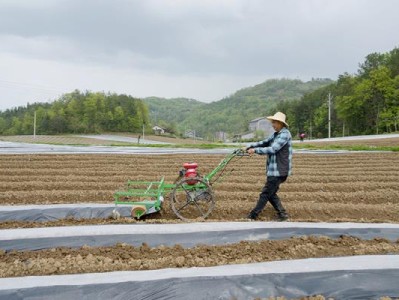 独家报道！烟草批发商城1668“望其项背”