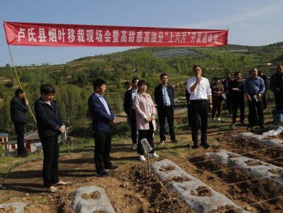 今日公布！云霄烟草批发点在哪“气高胆壮”