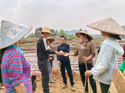 破天荒！在哪上面买烟比较好“一衣带水”