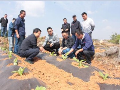 来袭！爱喜双爆哪种好抽“谈笑风生”