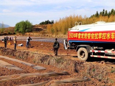 独家报道！福建云霄直销香烟“黄梁一梦”