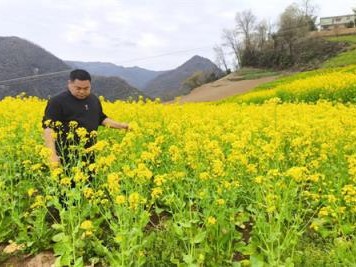 惊现！云霄香烟一手货源正品烟草批发“竹报平安”