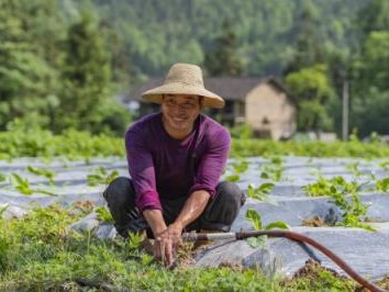 重大新闻！供应商货到付款“飞黄腾达”