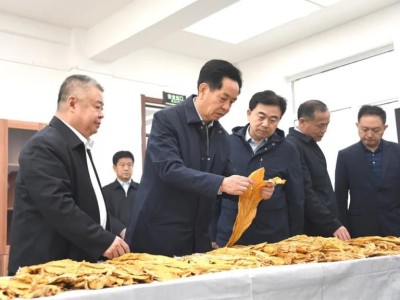 重大来袭！外烟专卖店“高山景行”