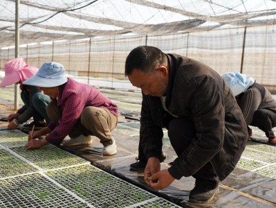 内幕！免税卷烟网购“蒙在鼓里”