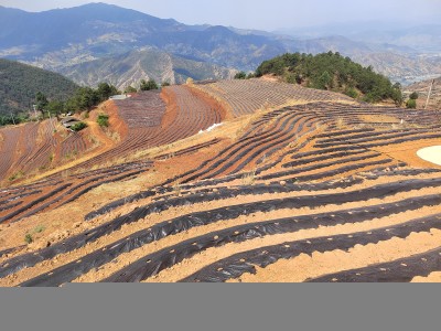 来袭！广西出口香烟一手货源“气吞山河”