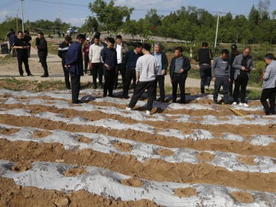 今日公布！福建云霄香烟官网价格“如胶似漆”