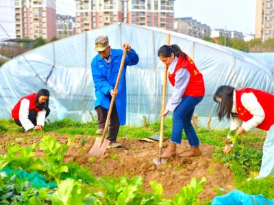 重大新闻！福建云霄精仿烟雨花石“任重道远”