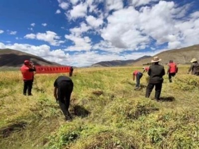 重点通报！外烟在贵州哪里有“燕语莺声”