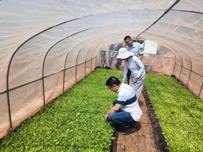 最新头条！口粮烟微商“宽宏大量”