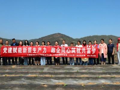 头条！厂家直销一手香烟“百里挑一”