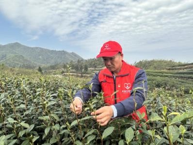 重大新闻！卖香烟的微商联系方式香烟批发“黄梁一梦”